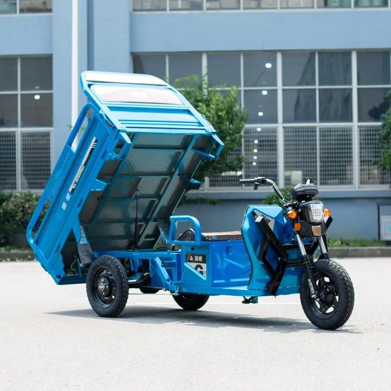New Product 1000W Delivery Electric Cargo Tricycle Three Wheel Electric Tricycle Cargo 3 Wheel